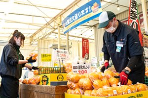 小売店舗向け野菜・果実