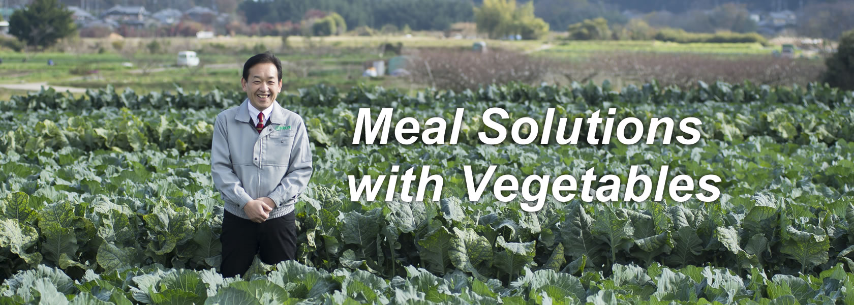 Meal Solutions with Vegetables