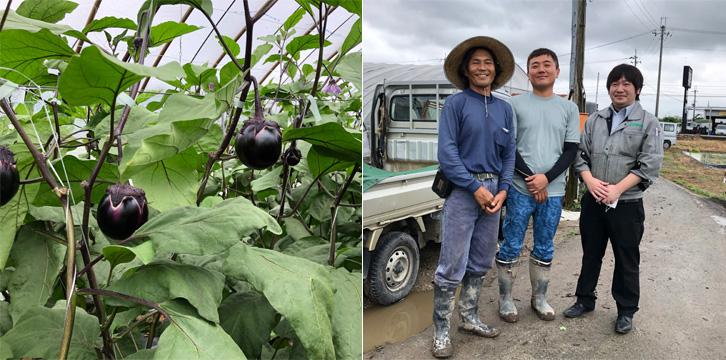 大和の伝統野菜をお届けいたします。