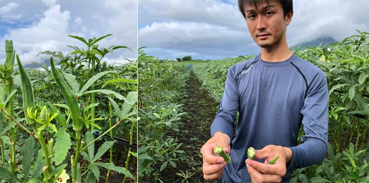 産地・生産者との取組み