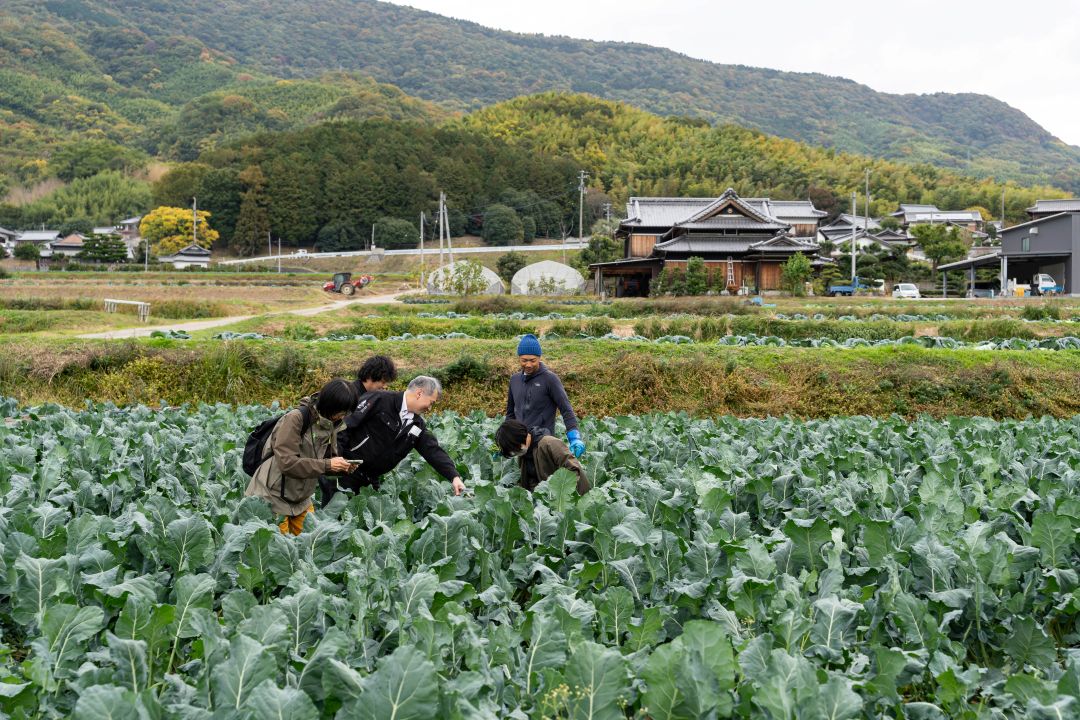 ブロッコリー産地紹介_産地とつながる八百屋塾in 香川