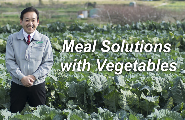 Meal Solutions with Vegetables